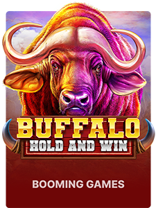 Buffalo Hold and Win