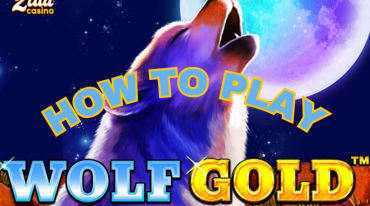 How to Play Wolf Gold Slot | Zula Casino Blog in the U.S.