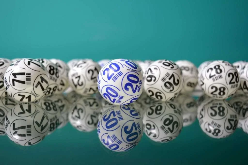 Bingo Casino Game | Zula Casino Blog