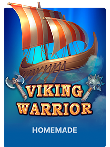 Viking Warrior